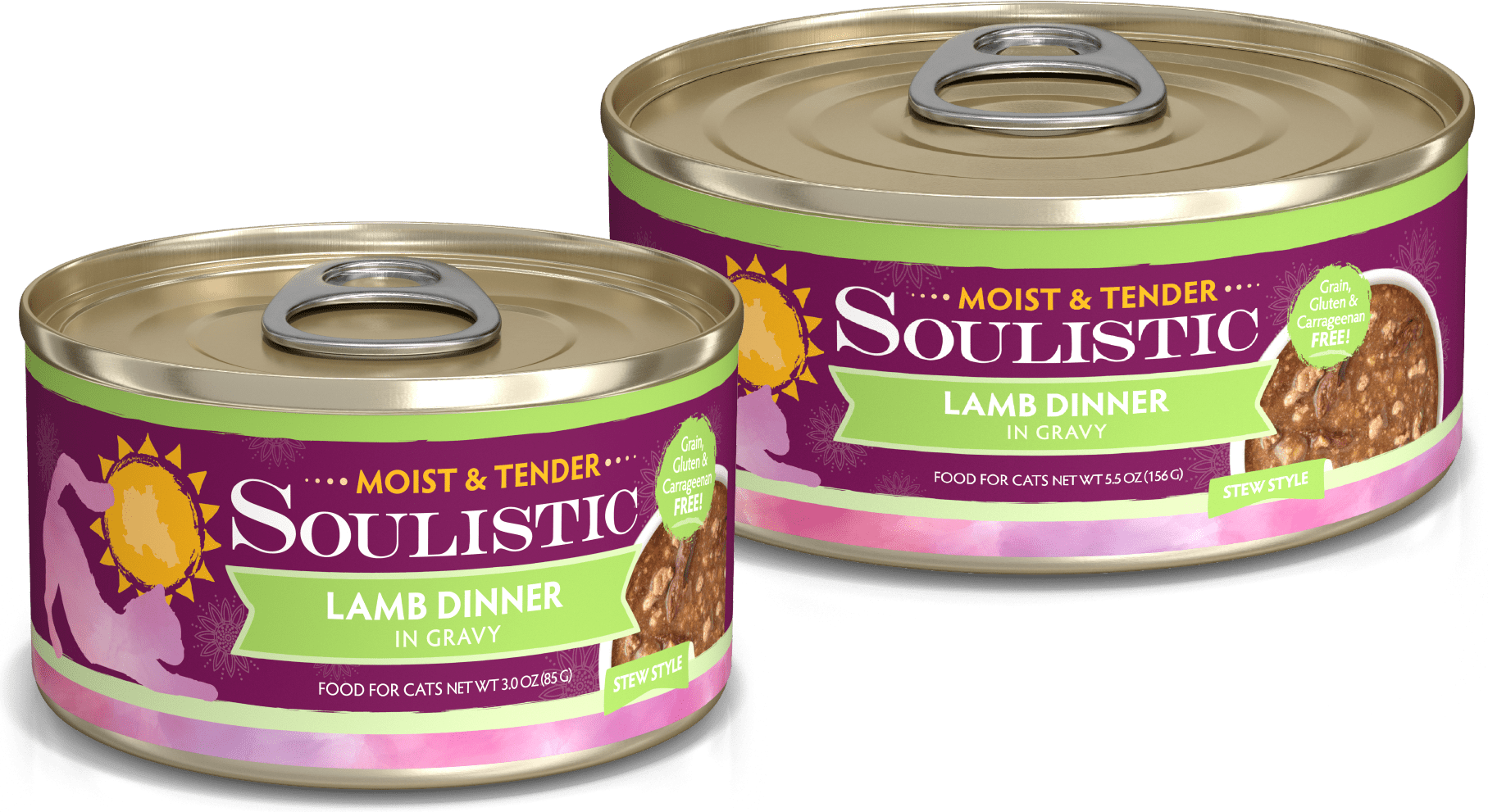 Soulistic Lamb Dinner In Gravy